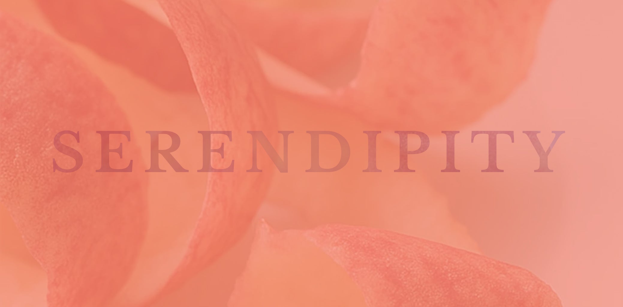 Linea Serendipity